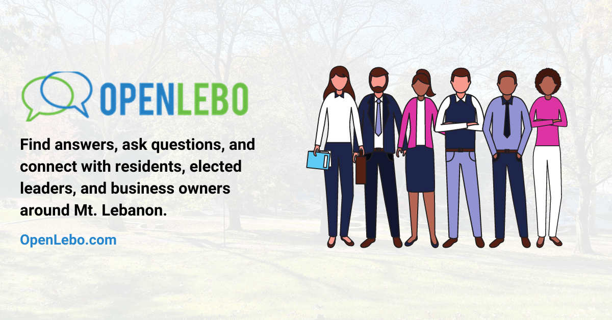 Why Do We Need Open Lebo?